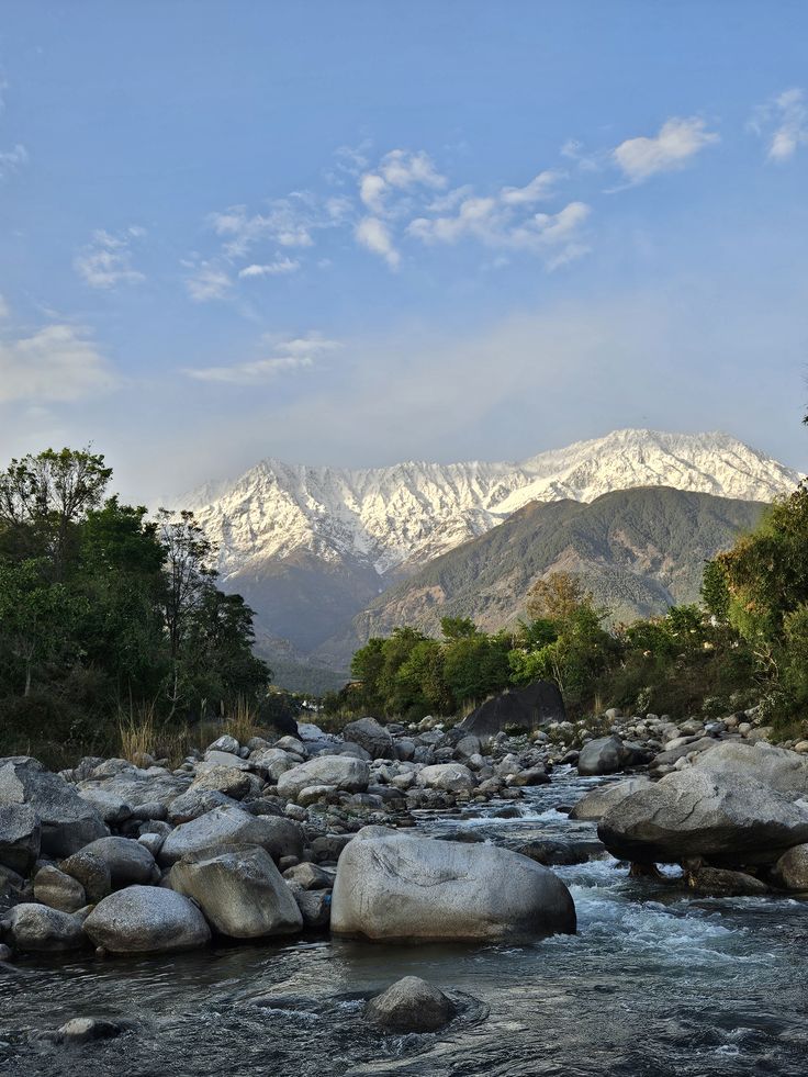 Departure from Dharamshala
