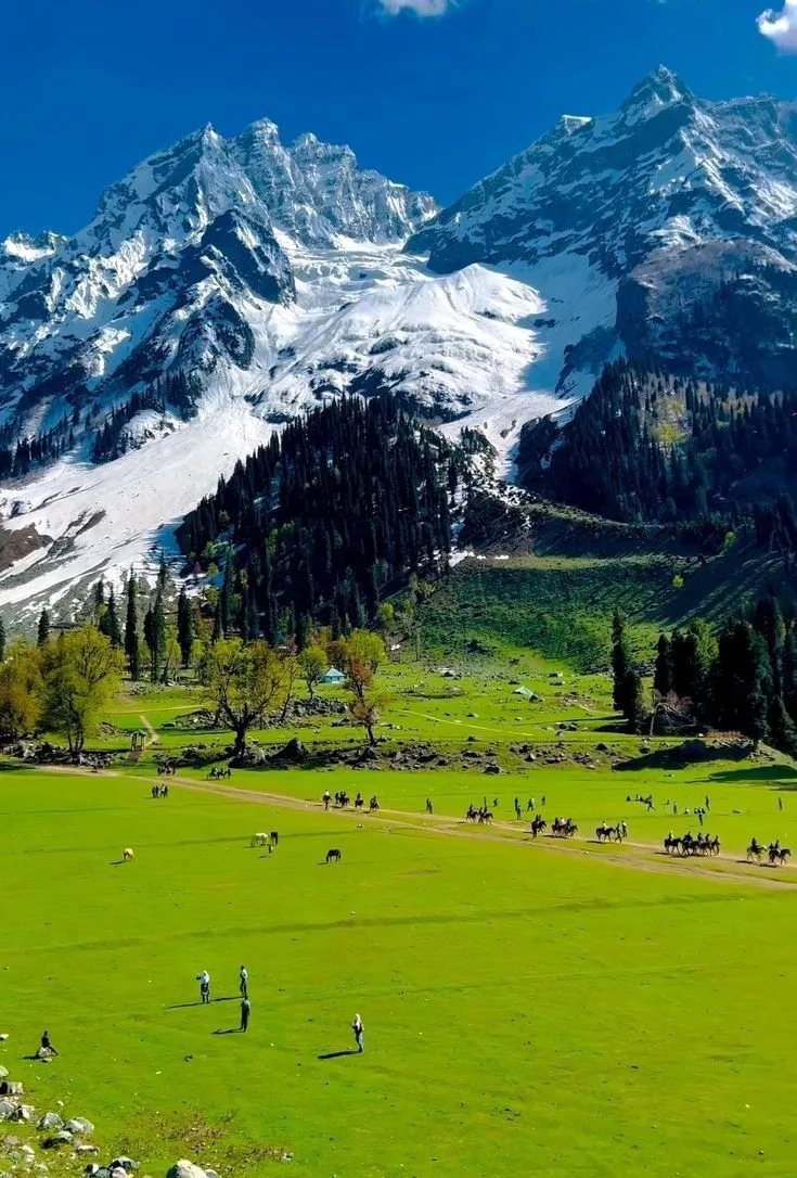 Day 2 – Sonmarg Excursion