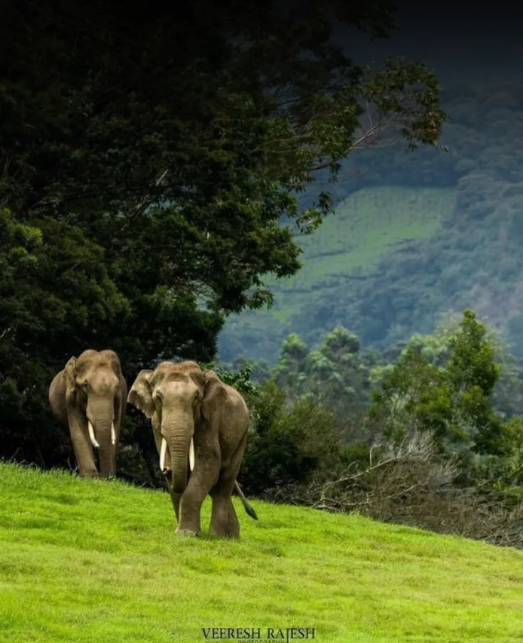 Kerala Complete Coastal & Backwater Tour