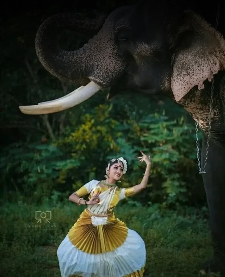Kerala Grand Explorer – 8 Nights / 9 Days