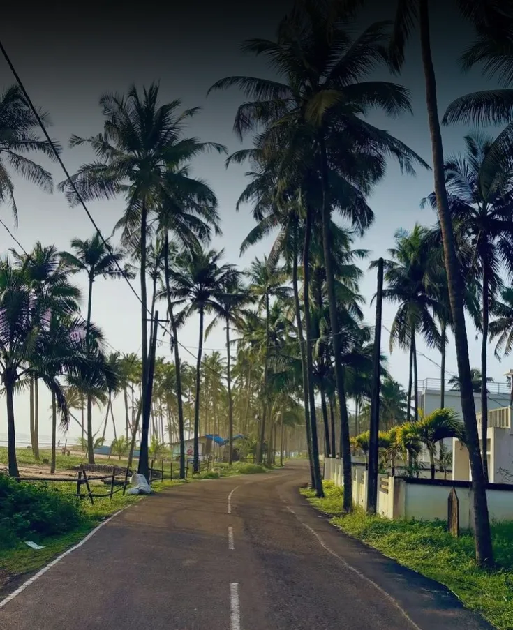 Kerala Hills & Backwaters Escape – 6 Nights / 7 Days