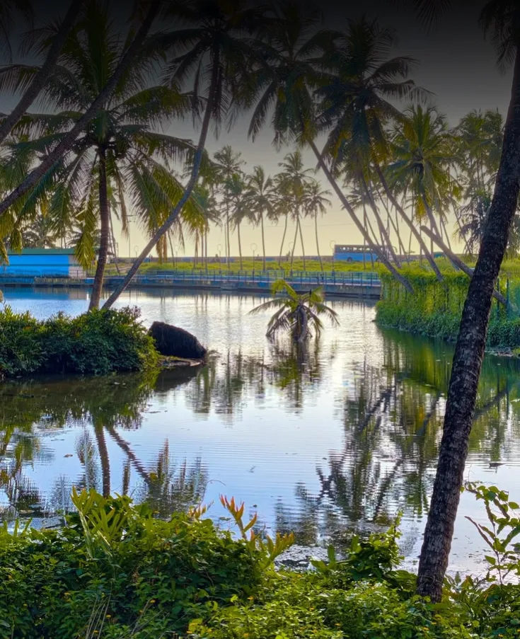 Kerala Classic Explorer – 5 Nights / 6 Days