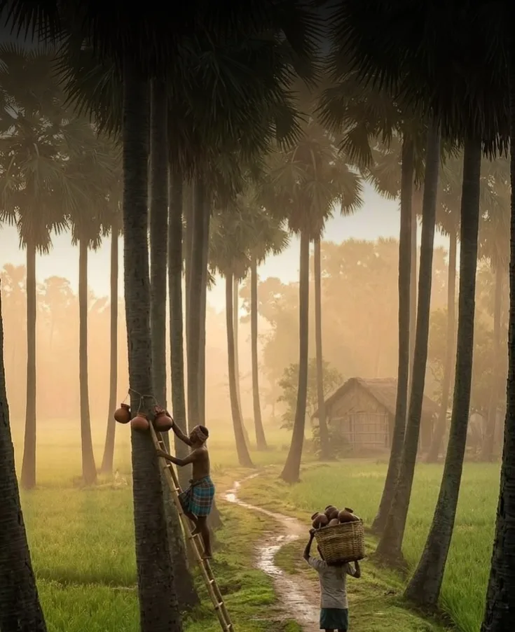 Kerala Hill, Lake & Beach Escape