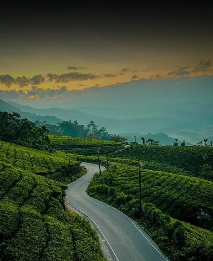 Kerala Explorer – 6 Nights / 7 Days