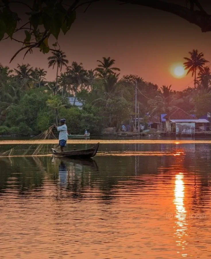 Kerala Backwaters & Hills