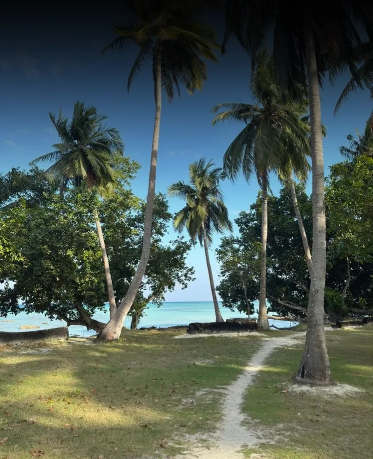 Andaman Beach, History & Adventure – 5 Nights / 6 Days